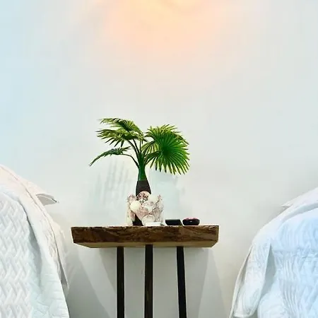 Palmetto Bella Vista 3*