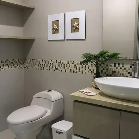 Palmetto Bella Vista